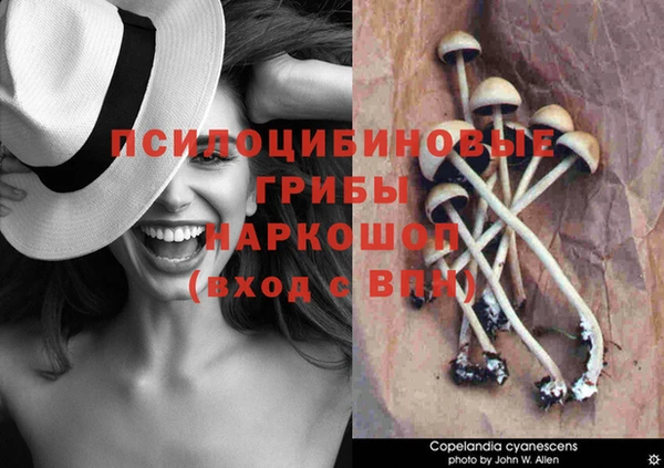 мдма Волоколамск