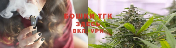 тгк Володарск